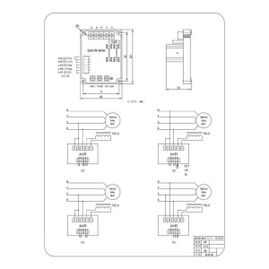 GAVR-8A - Regulador Automático de Voltaje para Generadores | Alta Capacidad y Protección